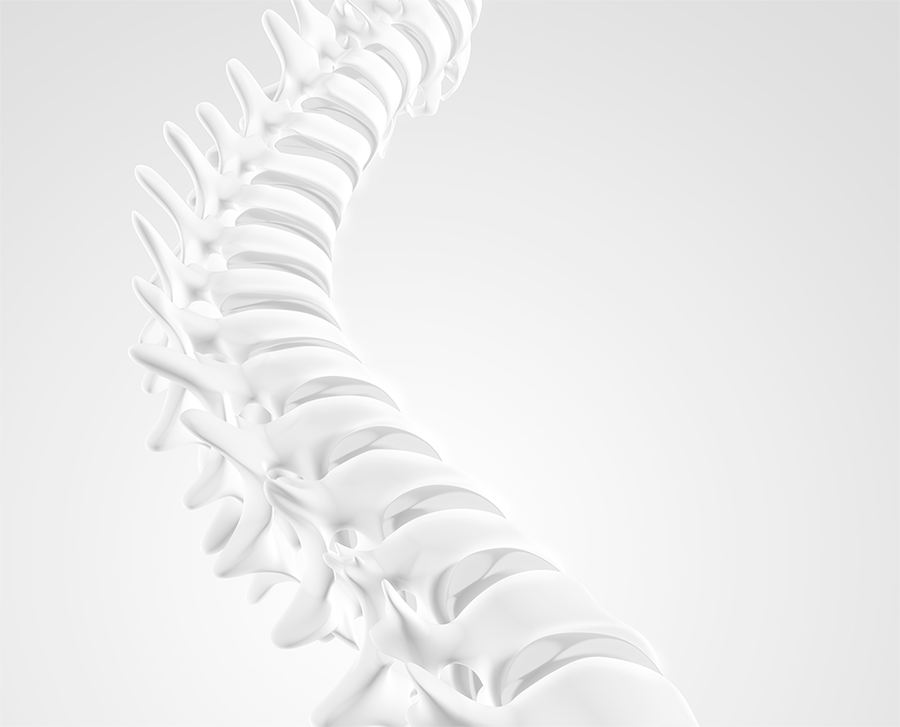 columna fisioterapia
